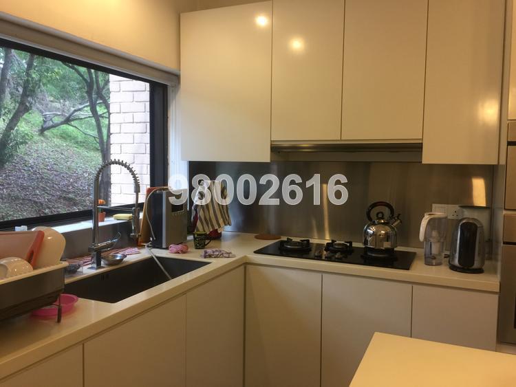 Normanton Park (Enbloc) (D5), Condominium #130865812